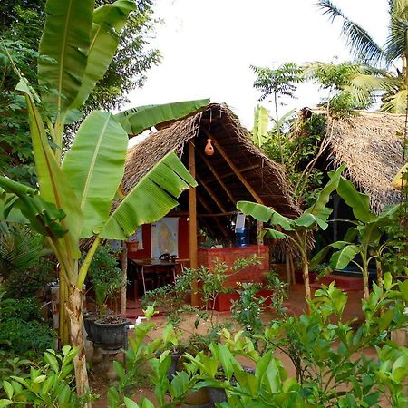 Homestay Camping Анурадхапура Экстерьер фото